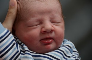 Benjamin Gordon Feser